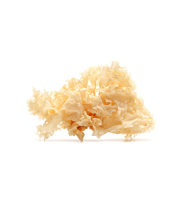 vg-vaf-m-8.jpg Dried White Fungus - Image 1